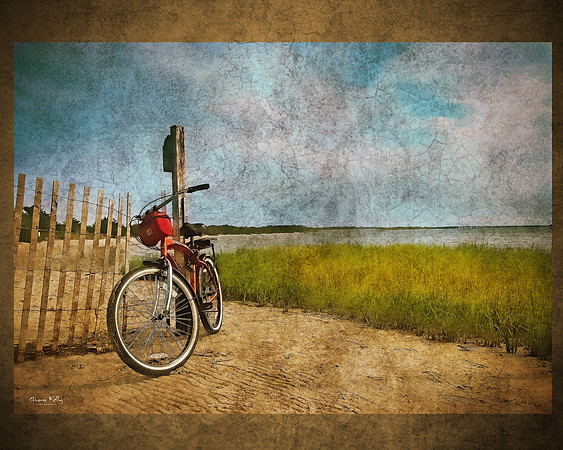 Bicycle by the bay