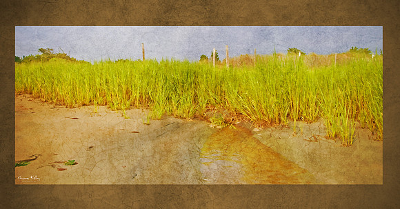 Tide Waters